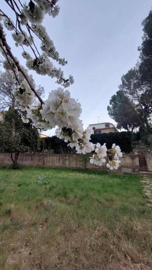 Rural Kairos "Un Espacio Con Alma" Siete Aguas Kültér fotó